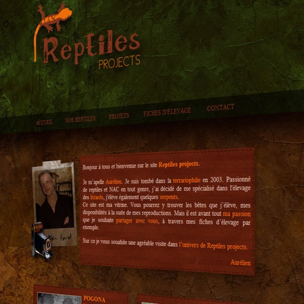 Reptiles Projects